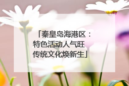 秦皇岛海港区：特色活动人气旺 传统文化焕新生