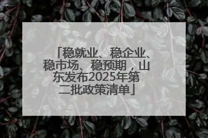 稳就业、稳企业、稳市场、稳预期，山东发布2025年第二批政策清单