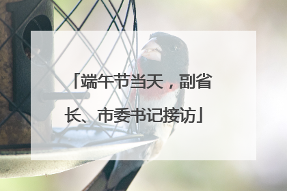 端午节当天，副省长、市委书记接访