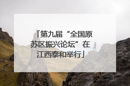 第九届“全国原苏区振兴论坛”在江西泰和举行