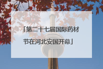 第二十七届国际药材节在河北安国开幕