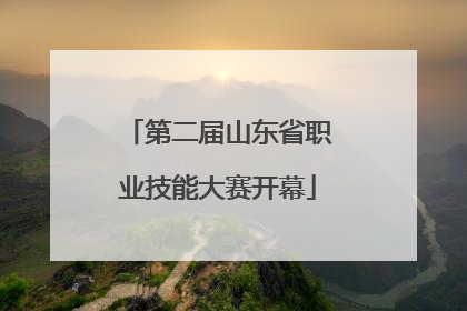 第二届山东省职业技能大赛开幕