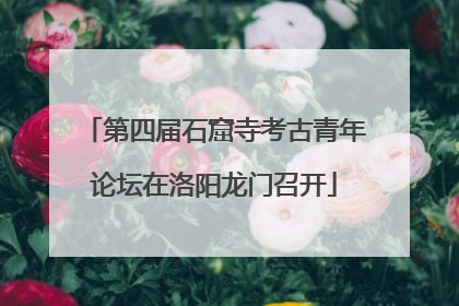 第四届石窟寺考古青年论坛在洛阳龙门召开