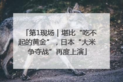 第1现场｜堪比“吃不起的黄金”，日本“大米争夺战”再度上演
