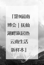 第9届南博会｜抚仙湖畔旅居热 云南生活新样本