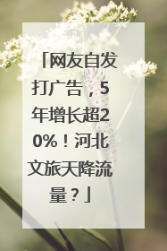 网友自发打广告，5年增长超20%！河北文旅天降流量？