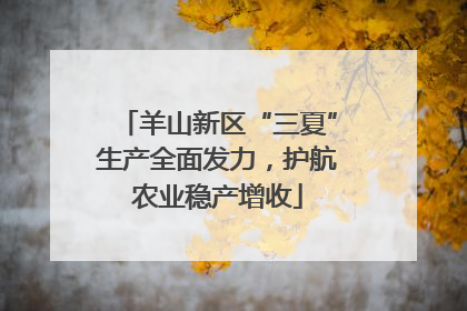 羊山新区“三夏”生产全面发力，护航农业稳产增收