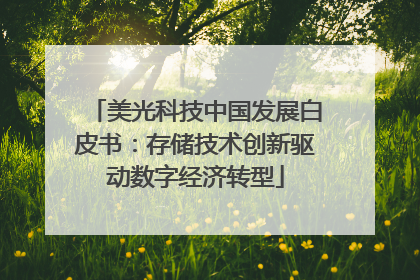 美光科技中国发展白皮书：存储技术创新驱动数字经济转型