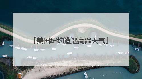 美国纽约遭遇高温天气