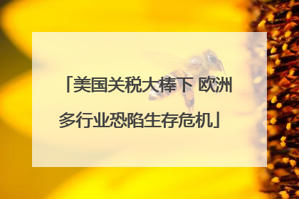美国关税大棒下 欧洲多行业恐陷生存危机