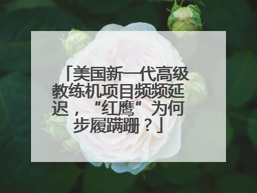 美国新一代高级教练机项目频频延迟，“红鹰”为何步履蹒跚？