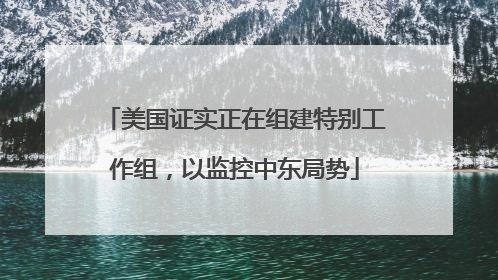 美国证实正在组建特别工作组，以监控中东局势