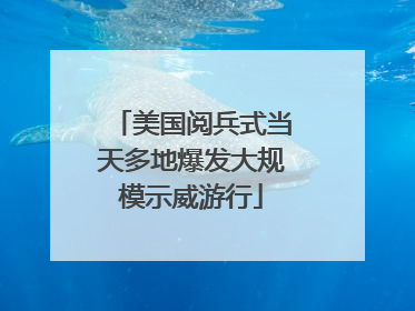 美国阅兵式当天多地爆发大规模示威游行