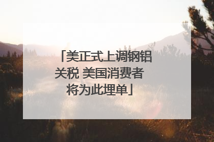 美正式上调钢铝关税 美国消费者将为此埋单