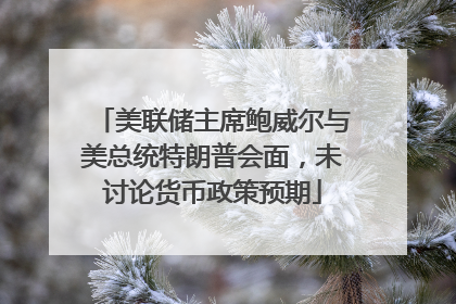 美联储主席鲍威尔与美总统特朗普会面，未讨论货币政策预期