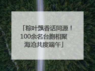 粽叶飘香话同源！100余名台胞相聚海沧共度端午