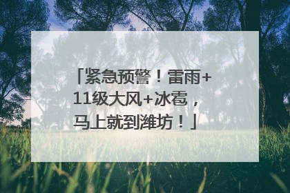 紧急预警！雷雨+11级大风+冰雹，马上就到潍坊！