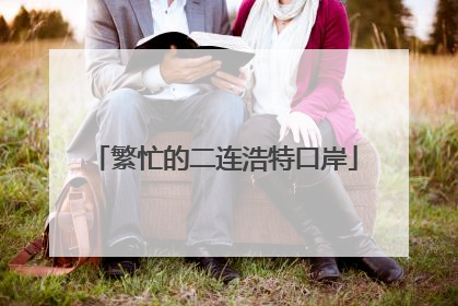 繁忙的二连浩特口岸