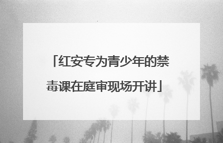 红安专为青少年的禁毒课在庭审现场开讲