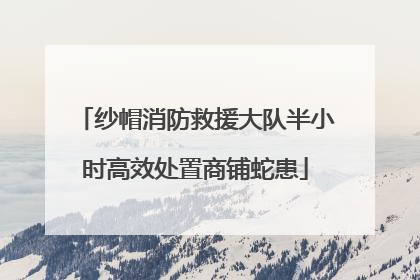 纱帽消防救援大队半小时高效处置商铺蛇患