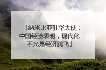 纳米比亚驻华大使：中国经验表明，现代化不光是经济腾飞