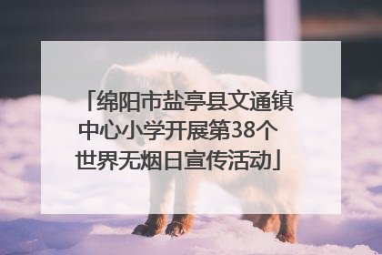 绵阳市盐亭县文通镇中心小学开展第38个世界无烟日宣传活动