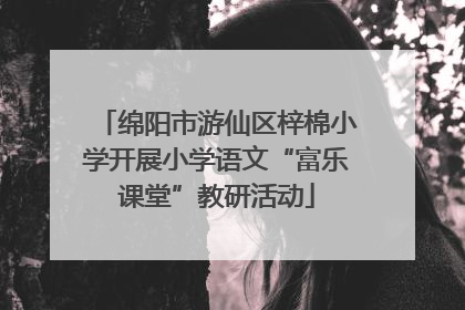 绵阳市游仙区梓棉小学开展小学语文“富乐课堂”教研活动