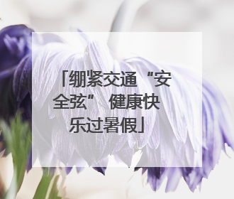 绷紧交通“安全弦” 健康快乐过暑假