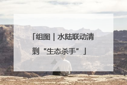 组图｜水陆联动清剿“生态杀手”