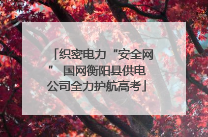 织密电力“安全网” 国网衡阳县供电公司全力护航高考