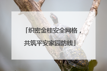 织密金桂安全网格，共筑平安家园防线
