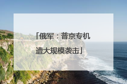 俄军：普京专机遭大规模袭击