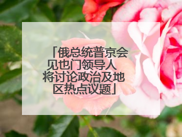 俄总统普京会见也门领导人 将讨论政治及地区热点议题