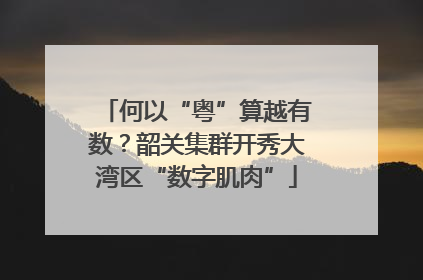 何以“粤”算越有数？韶关集群开秀大湾区“数字肌肉”