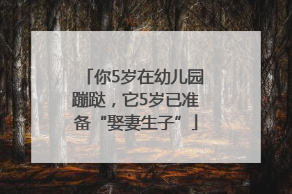 你5岁在幼儿园蹦跶，它5岁已准备“娶妻生子”
