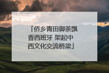 侨乡青田御茶飘香西班牙 架起中西文化交流桥梁