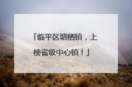 临平区塘栖镇，上榜省级中心镇！