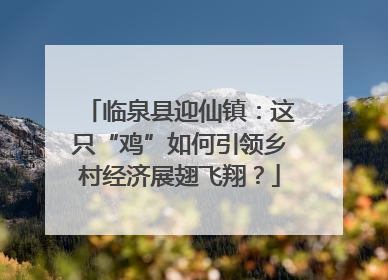 临泉县迎仙镇：这只“鸡”如何引领乡村经济展翅飞翔？