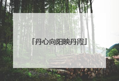 丹心向阳映丹霞