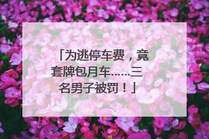 为逃停车费，竟套牌包月车……三名男子被罚！