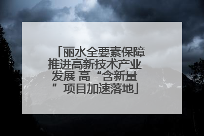 丽水全要素保障推进高新技术产业发展 高“含新量”项目加速落地