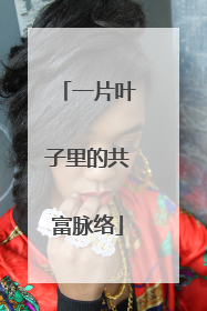 一片叶子里的共富脉络