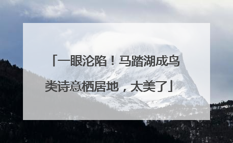 一眼沦陷！马踏湖成鸟类诗意栖居地，太美了