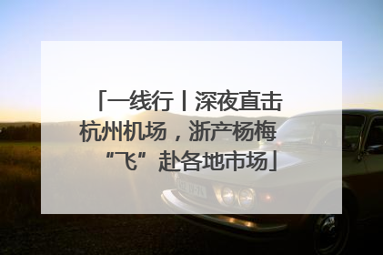 一线行丨深夜直击杭州机场，浙产杨梅“飞”赴各地市场