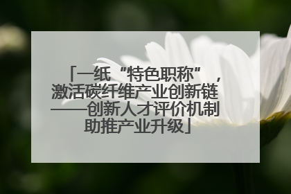 一纸“特色职称”，激活碳纤维产业创新链——创新人才评价机制 助推产业升级