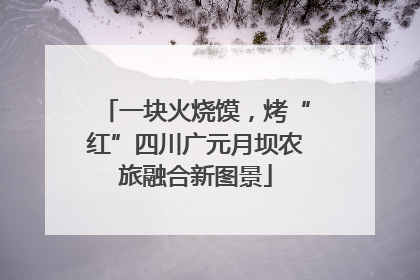 一块火烧馍，烤“红”四川广元月坝农旅融合新图景