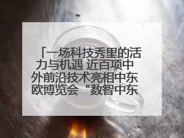 一场科技秀里的活力与机遇 近百项中外前沿技术亮相中东欧博览会“数智中东欧”板块