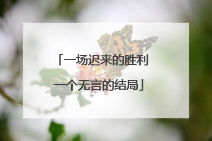 一场迟来的胜利 一个无言的结局