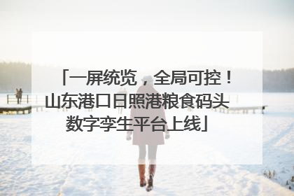一屏统览，全局可控！山东港口日照港粮食码头数字孪生平台上线