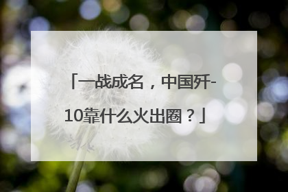 一战成名，中国歼-10靠什么火出圈？